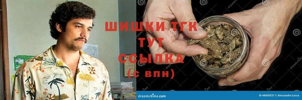 амф Коряжма