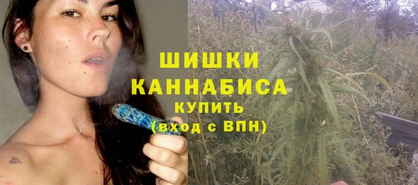 амф Коряжма