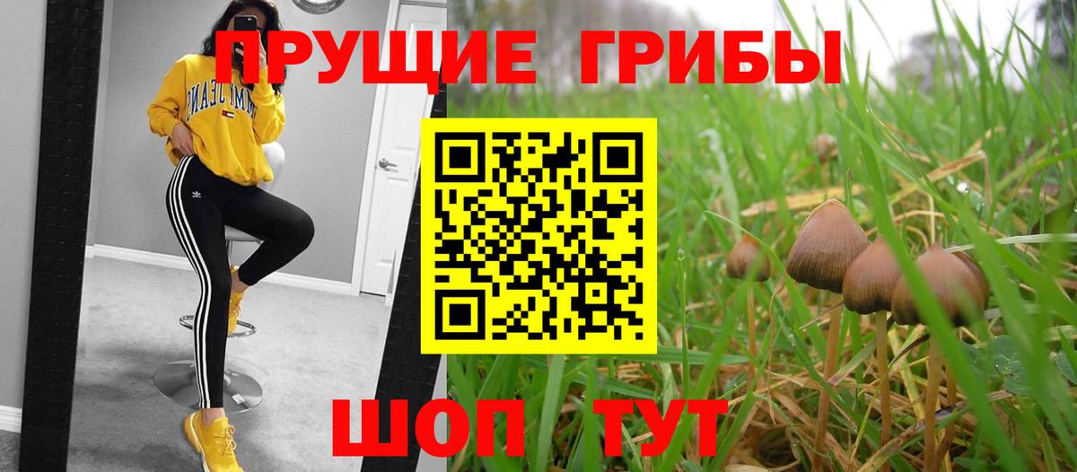 Краснотурьинск  Псилоцибиновые грибы мухоморы  Псилоцибиновые грибы Psilocybine cubensis  Вход с VPN 