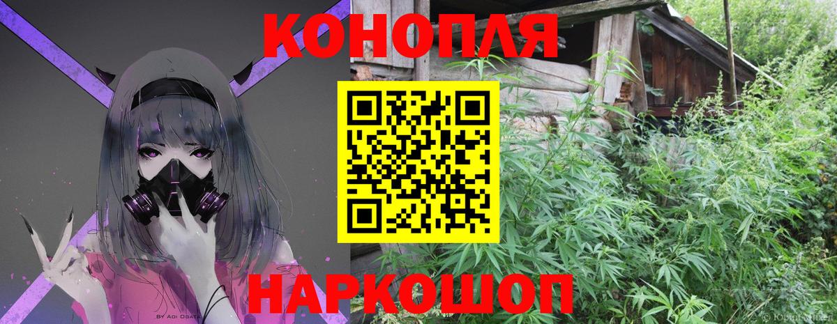 Бошки марихуана семена  Вход с VPN  МАРИХУАНА семена  Краснотурьинск  Конопля AK-47 